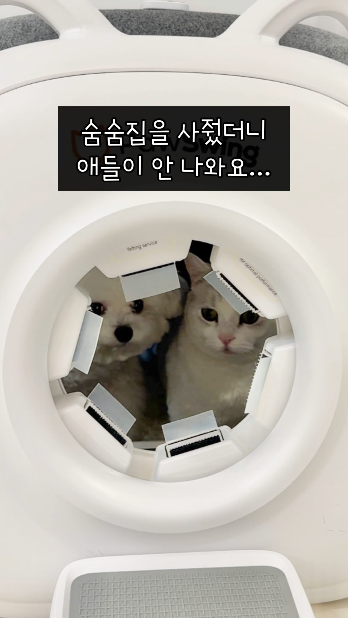 @ddo_o_da 인스타그램 후기