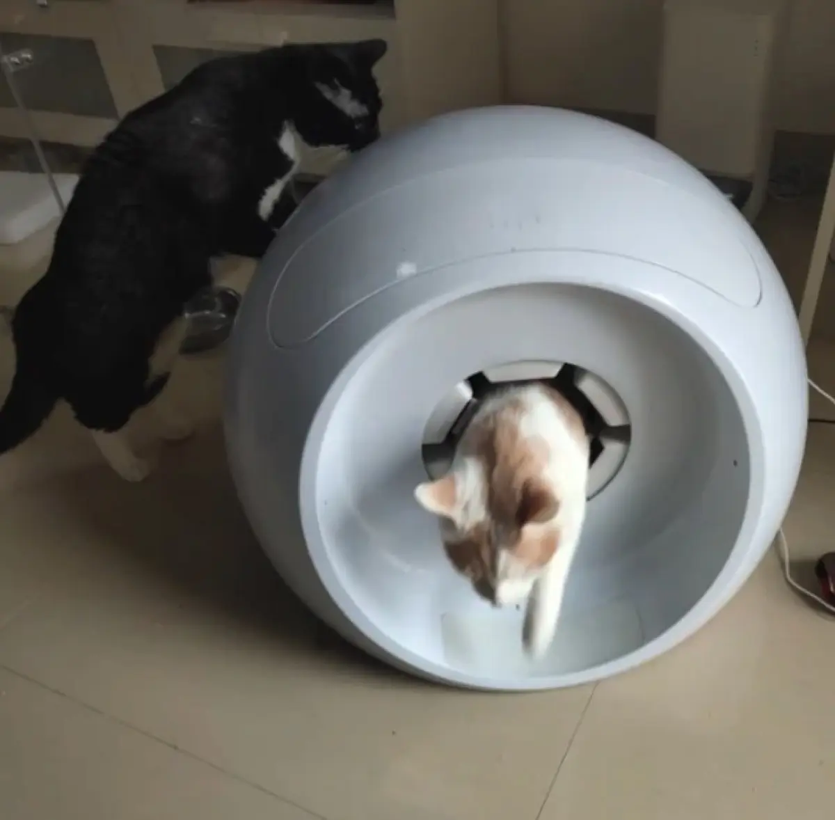 정전기 방식 테스트