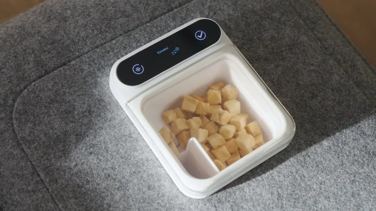 간식으로 유도하는 모습