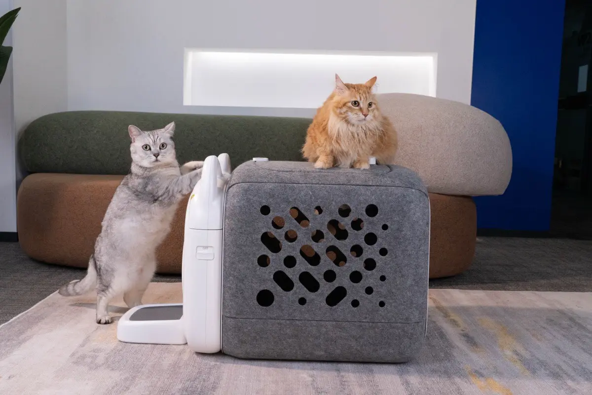 PawSwing Neo 최종 완성 제품